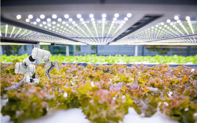 Complete Nutrition with Robotic Hydroponics
